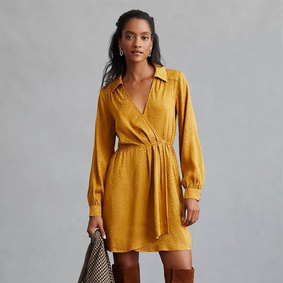 Anthropologie Long-Sleeve Mini Dress Bronze Leopard Print Size Large RETAIL $160 - Picture 1 of 11